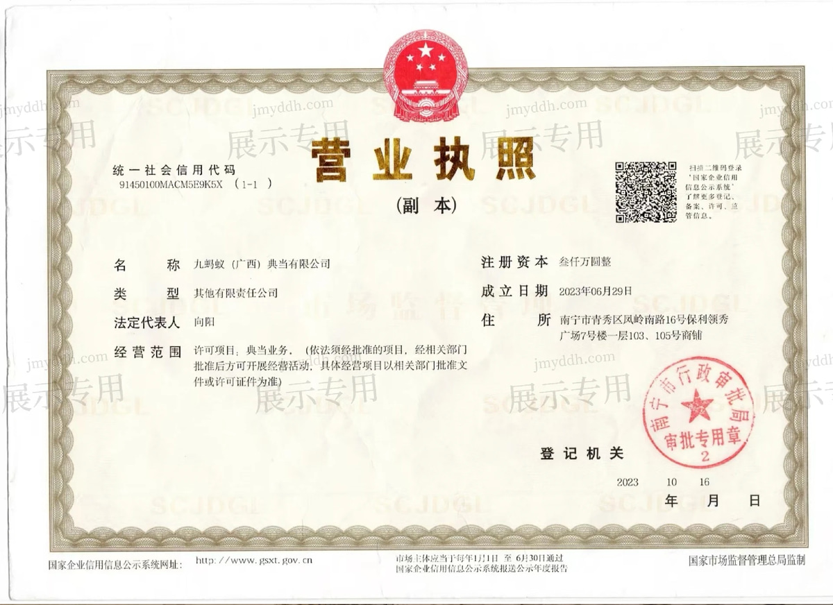 九蚂蚁（广西）典当有限公司营业执照