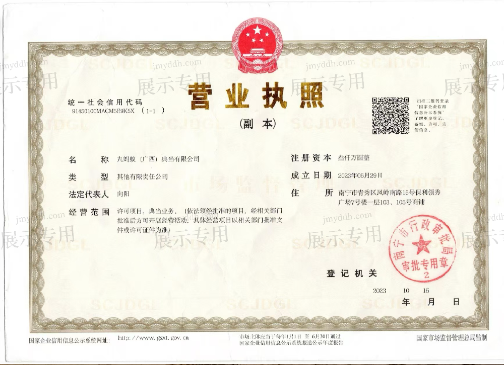 九蚂蚁（广西）典当有限公司营业执照